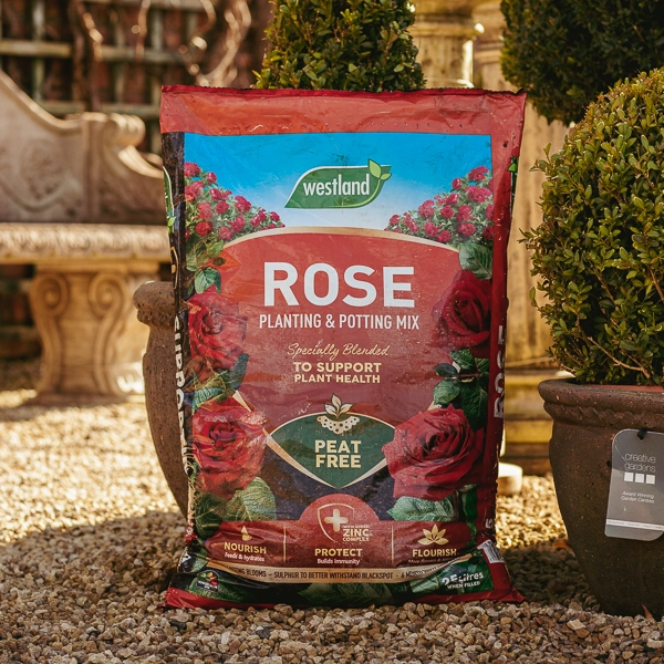 Westland Rose Planting Potting Peat Free Mix L Creative Gardens