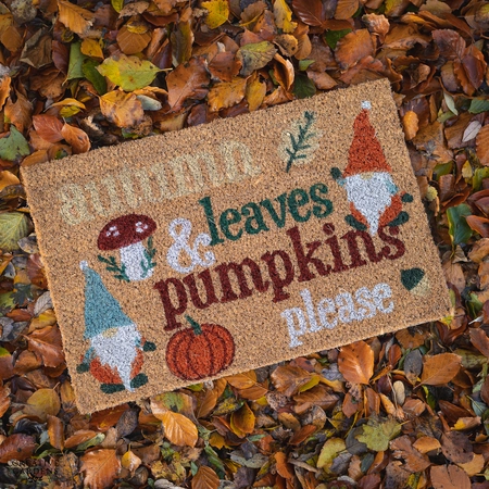 Autumn Leaves & Pumpkin Doormat - image 1