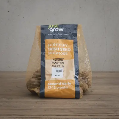 Autumn Planting Seed Potato Charlotte - 1KG