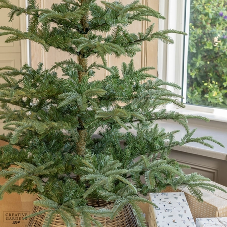 Everlands Nobilis Fir Artificial Christmas Tree - 7ft - image 3