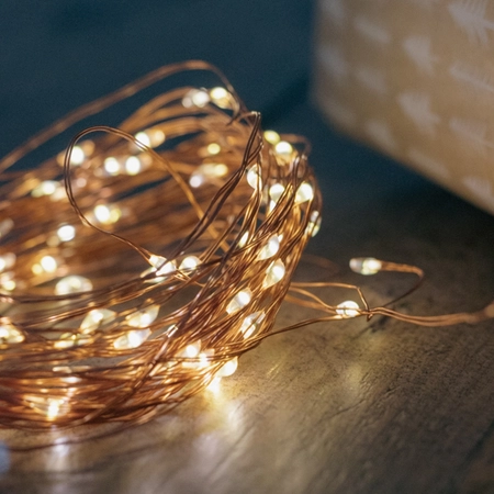 Noma 50 Fit & Forget Warm White LED String Lights - image 3