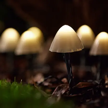 Forest Solar Mushroom Lights - 12L - image 2