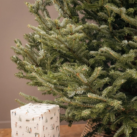 Fresh Cut Fraser Fir 6ft - image 3