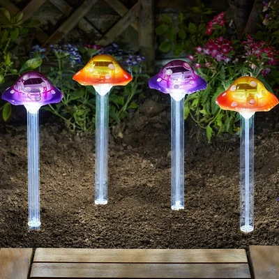 Funky Fungus