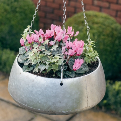 Galvanised Zinc Hanging Planter ‘Purples & Pinks’ - image 1