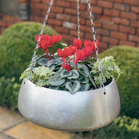 Galvanised Zinc Hanging Planter ‘Rich Reds’ - image 1