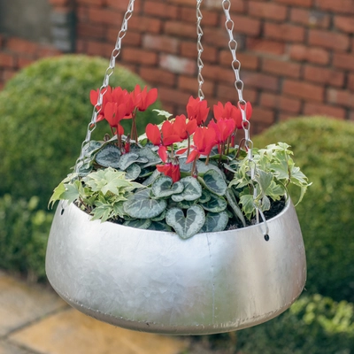 Galvanised Zinc Hanging Planter ‘Rich Reds’ - image 1