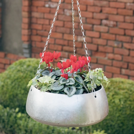 Galvanised Zinc Hanging Planter ‘Rich Reds’ - image 2