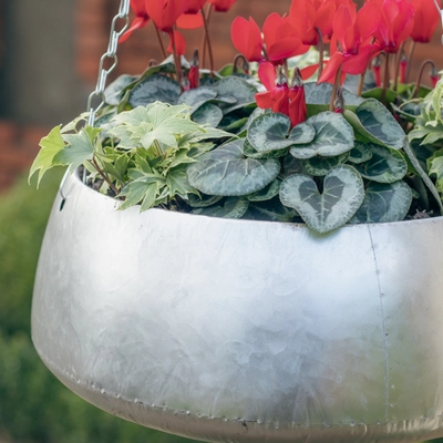 Galvanised Zinc Hanging Planter ‘Rich Reds’ - image 4