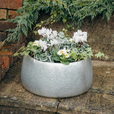 Galvanised Zinc Planter ‘Fresh Greens & Whites’ - image 1