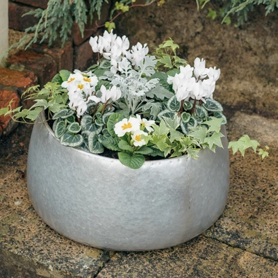 Galvanised Zinc Planter ‘Fresh Greens & Whites’ - image 2