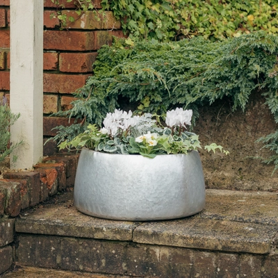 Galvanised Zinc Planter ‘Fresh Greens & Whites’ - image 4