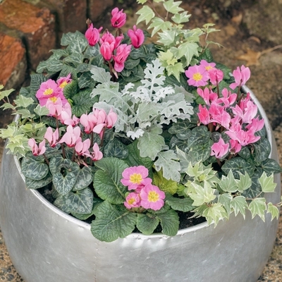 Galvanised Zinc Planter ‘Pinks & Purples’ - image 3