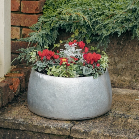 Galvanised Zinc Planter ‘Rich Reds’ - image 2