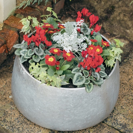 Galvanised Zinc Planter ‘Rich Reds’ - image 3