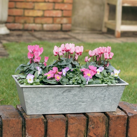 Galvanised Zinc Trough Planter ‘Pinks & Purples’ - image 1