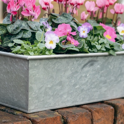 Galvanised Zinc Trough Planter ‘Pinks & Purples’ - image 4