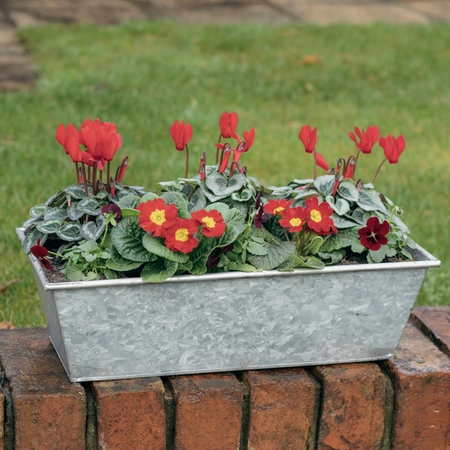 Galvanised Zinc Trough Planter ‘Rich Reds’ - image 1