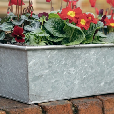 Galvanised Zinc Trough Planter ‘Rich Reds’ - image 4