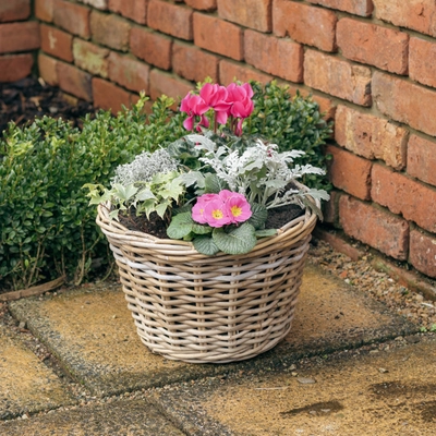 Grey Willow Large Round Basket Planter ‘Pinks & Purples’ - image 2