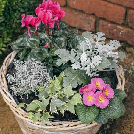 Grey Willow Large Round Basket Planter ‘Pinks & Purples’ - image 3