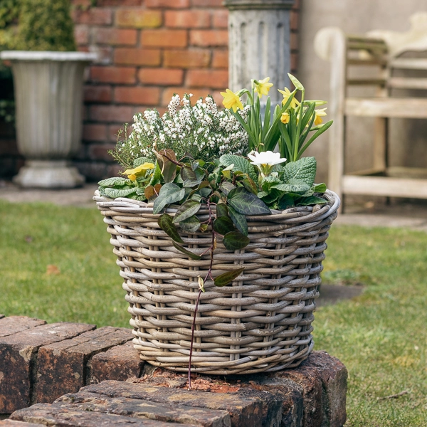 Grey Willow Large Round Basket Planter ‘Yellow & White’ - Creative Gardens