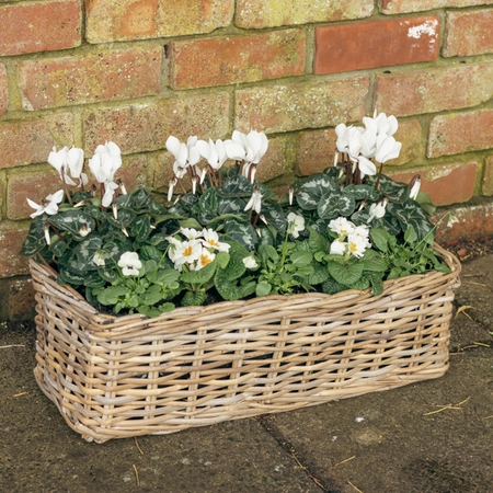 Grey Willow Large Window Box Planter ‘Fresh Greens & Whites’ - image 1