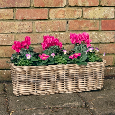 Grey Willow Large Window Box Planter ‘Pinks & Purples’ - image 1