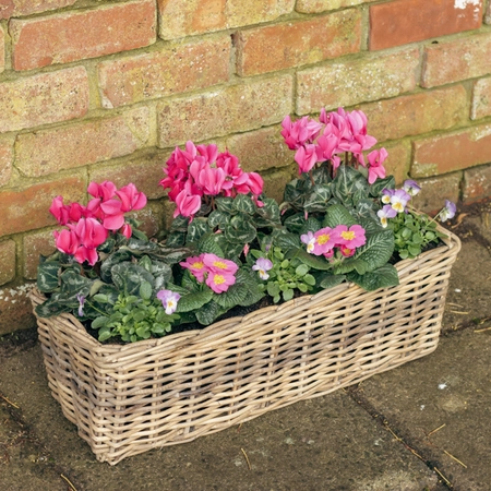 Grey Willow Large Window Box Planter ‘Pinks & Purples’ - image 2