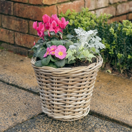 Grey Willow Medium Round Basket Planter ‘Pinks & Purples’ - image 1