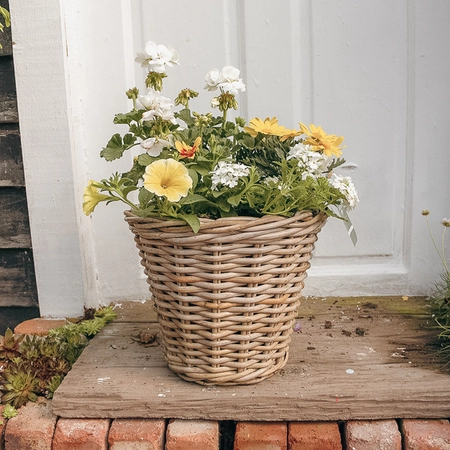 Grey Willow Medium Round Basket Planter ‘Yellow & White’