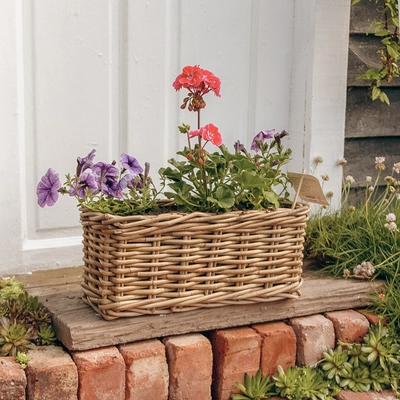 Grey Willow Small Window Box Planter ‘Pinks & Purples' - image 1