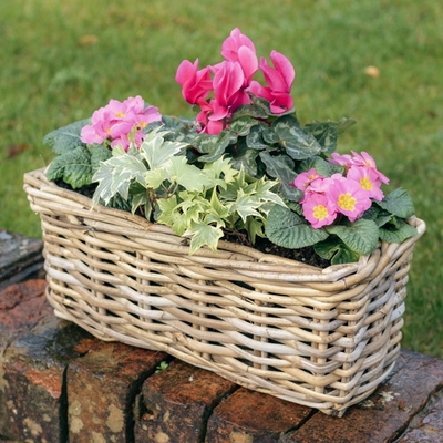 Grey Willow Small Window Box Planter ‘Pinks & Purples' - image 1