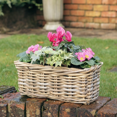 Grey Willow Small Window Box Planter ‘Pinks & Purples' - image 2