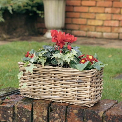 Grey Willow Small Window Box Planter ‘Rich Red' - image 2