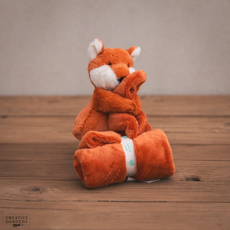 Jelly Cat Bashful Fox Cub Soother