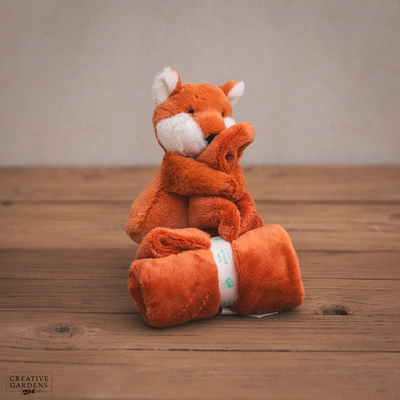 Jelly Cat Bashful Fox Cub Soother