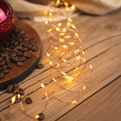 Lumineo Micro LED Copper String Lights 60L Warm White - image 2