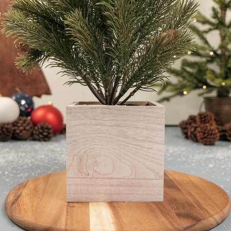 https://www.creativegardens.com/files/images/webshop/pine-tree-in-wooden-box-63cm-800x800-652516b36f2ee_n.webp