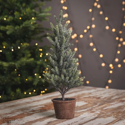 Pine Tree with Brown Pot 42Cm