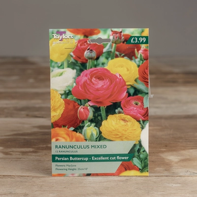 Ranunculus