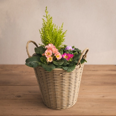 Rattan Spring Planter