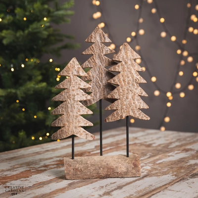 Scenery Paulownia Wood with 3 Trees