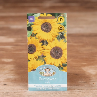 Sunflower Hallo - image 1