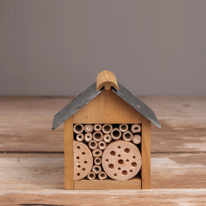 Tom Chambers Bee And Insect Hut - Creative Gardens