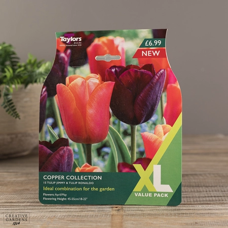 Tulip Copper Collection