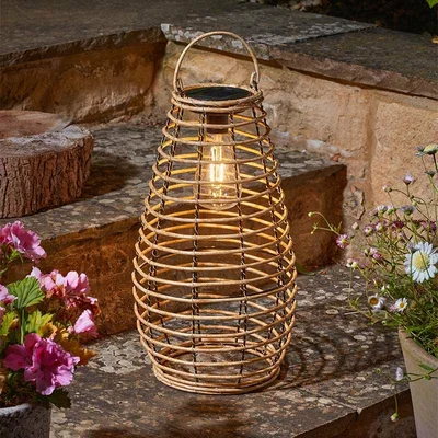 Venus Lantern
