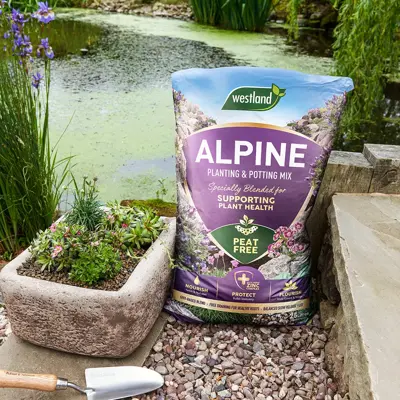 Westland Alpine Planting Peat Free Potting Mix 25L