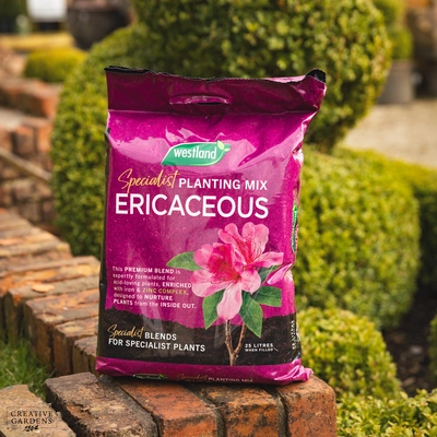 Westland Ericaceous Peat Reduced Planting & Potting Mix 25L