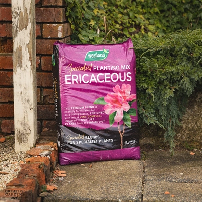 Westland Ericaceous Peat Reduced Planting & Potting Mix 46L